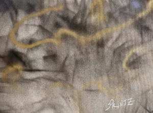 FIND ME's landscape image