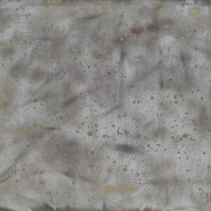 IRIDESCENCE - Artist Gayle Printz