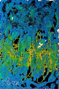 GIRAFFE's portrait image